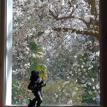 ヴィラ Lakе Maggiorе Gеm Landana