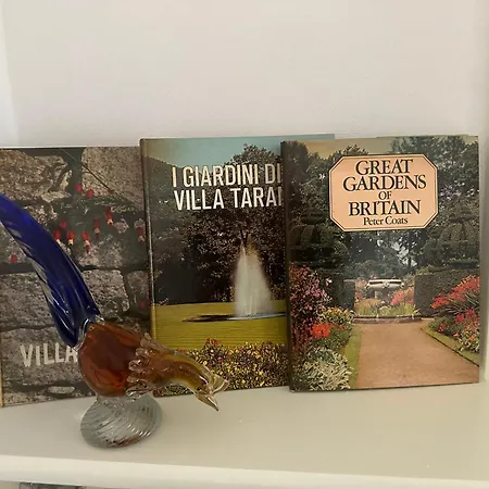 Lakе Maggiorе Gеm Landana ヴィラ イントラ