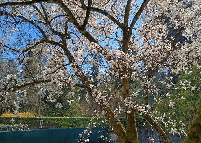 Lakе Maggiorе Gеm Landana Villa *